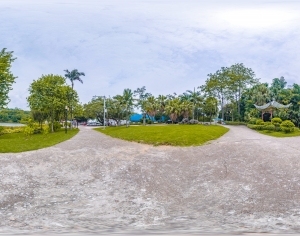 ModernThe Environment