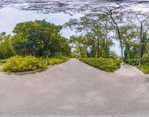 ModernThe Environment