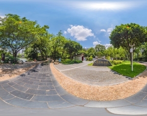 ModernThe Environment