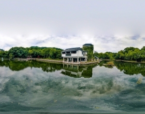 ModernThe Environment