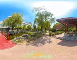 ModernThe Environment