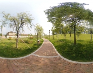 ModernThe Environment