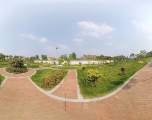 ModernThe Environment