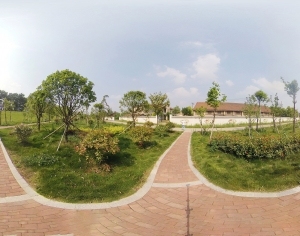 ModernThe Environment