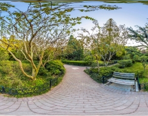 ModernThe Environment