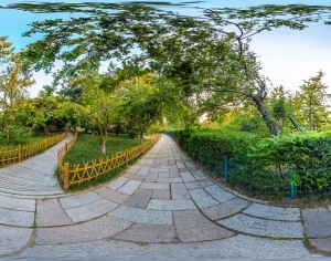 ModernThe Environment