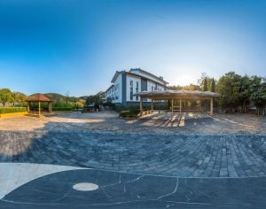 ModernThe Environment