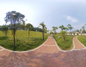 ModernThe Environment