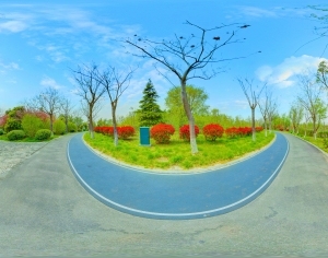 ModernThe Environment