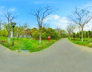 ModernThe Environment