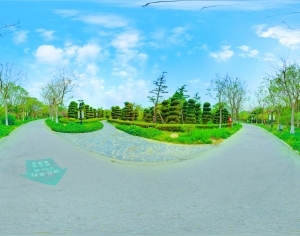 ModernThe Environment