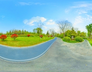 ModernThe Environment