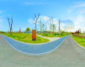 ModernThe Environment