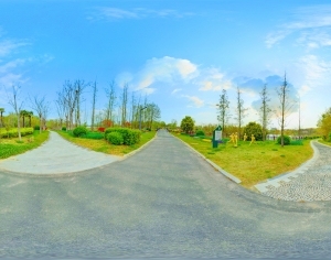 ModernThe Environment