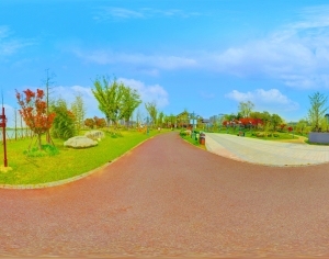 ModernThe Environment