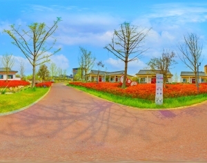 ModernThe Environment