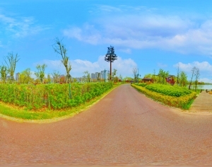 ModernThe Environment