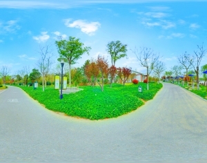 ModernThe Environment