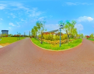 ModernThe Environment