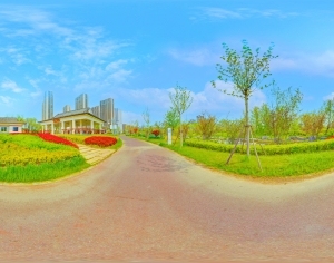 ModernThe Environment