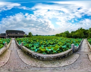 ModernThe Environment