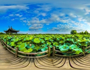 ModernThe Environment