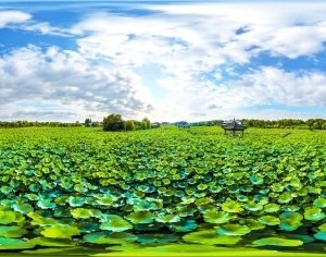 ModernThe Environment