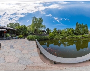 ModernThe Environment