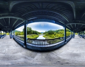 ModernThe Environment