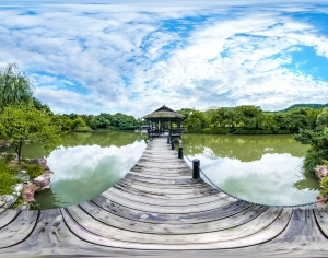 ModernThe Environment