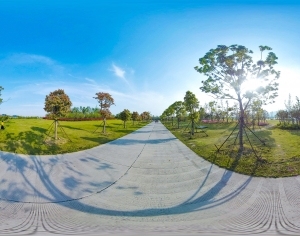 ModernThe Environment