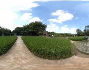 ModernThe Environment