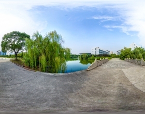 ModernThe Environment