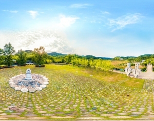 ModernThe Environment