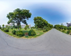 ModernThe Environment