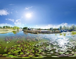 ModernThe Environment