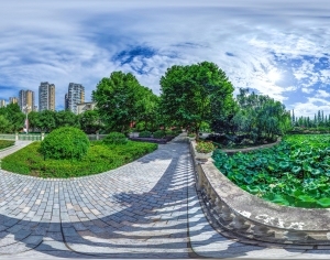 ModernThe Environment