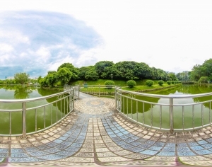 ModernThe Environment