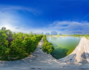 ModernThe Environment