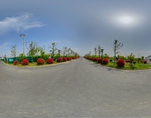 ModernThe Environment