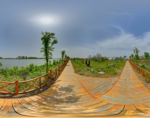 ModernThe Environment