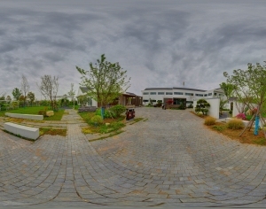 ModernThe Environment