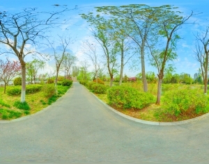 ModernThe Environment