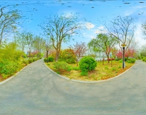 ModernThe Environment