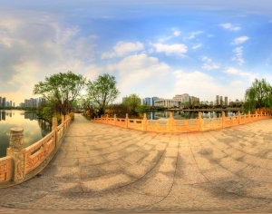 ModernThe Environment