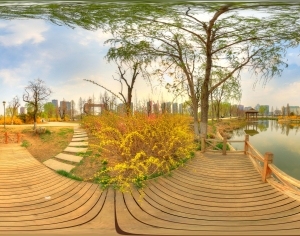 ModernThe Environment