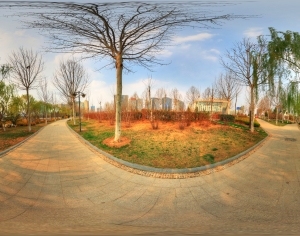 ModernThe Environment