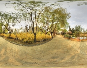 ModernThe Environment