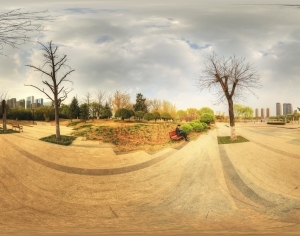 ModernThe Environment