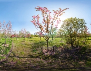 ModernThe Environment